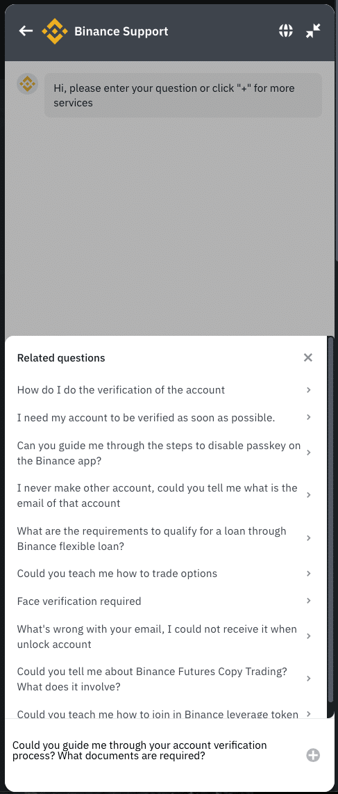 binance support